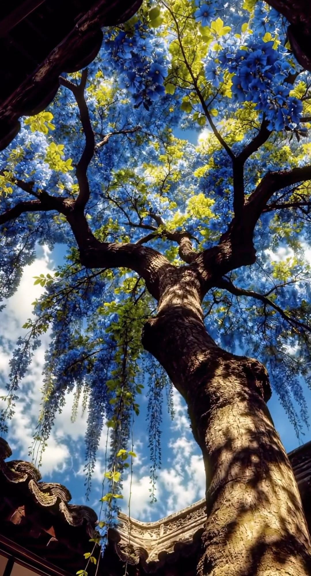 Under the Canopy Frame – photography wall art | برواز تحت الشجرة