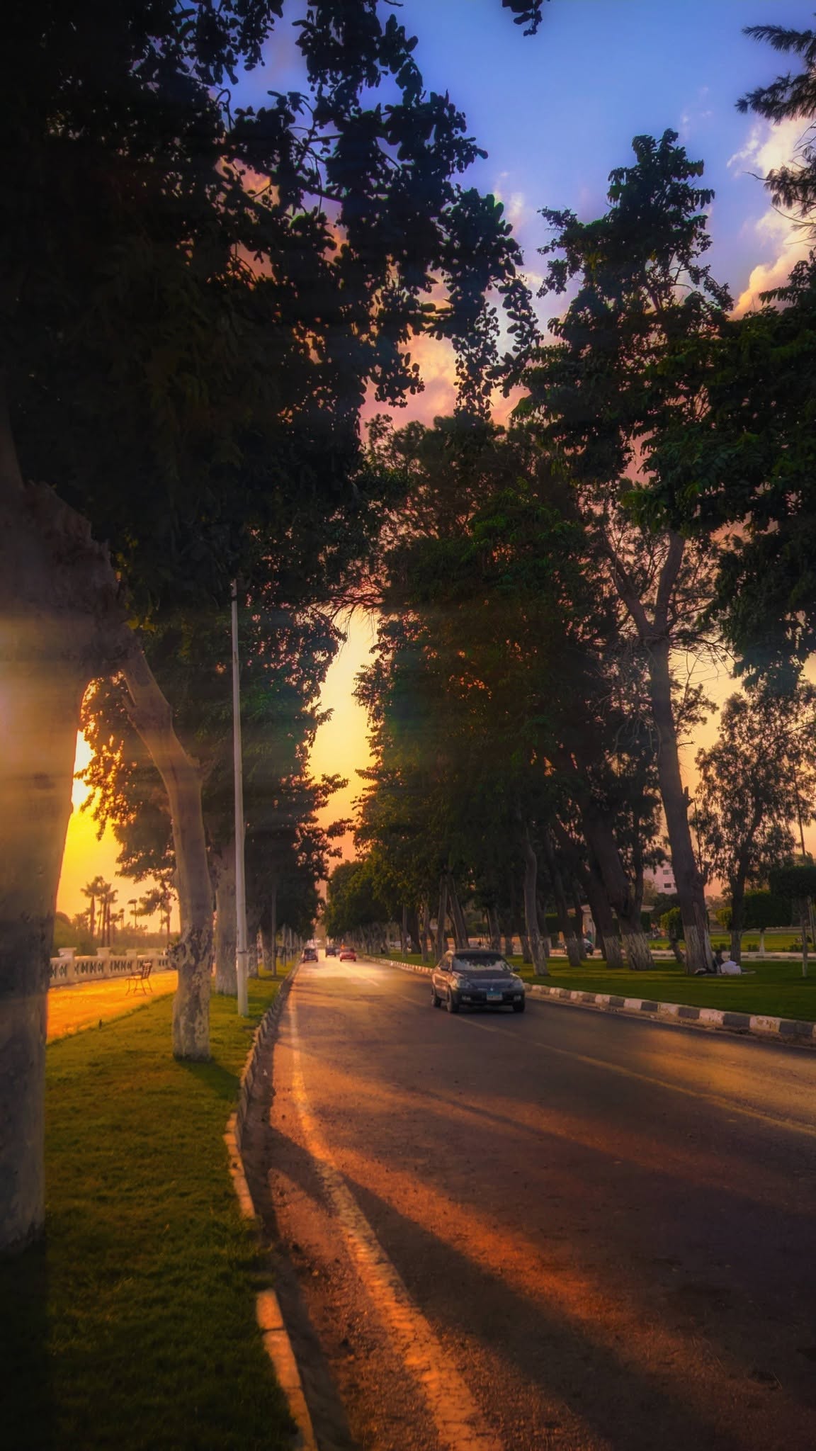 Golden Park Walk Frame – photography wall art, photo 3 | برواز ممشى الحديقة