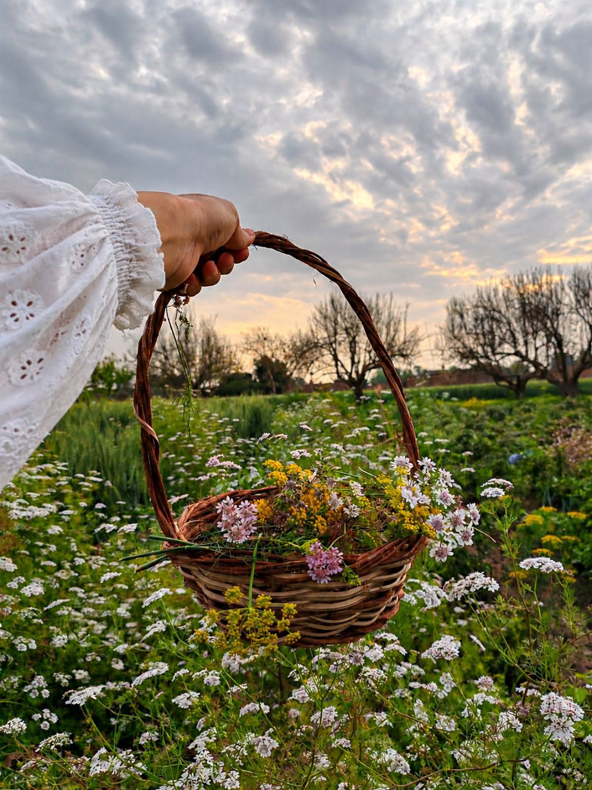 Wildflower Basket Frame – photography wall art | برواز سلة الورد البري