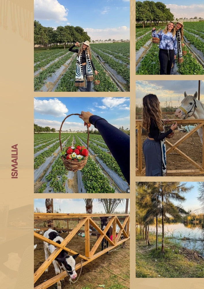 The Cairo Guide Frame – by Cairo Heaven, photo 12 | THE CAIRO GUIDE - دليل القاهرة