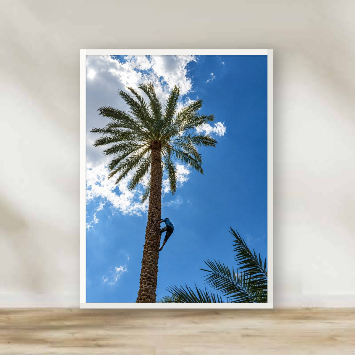 Palm Climber White Frame – photography wall art | برواز أبيض يا طالع النخلة