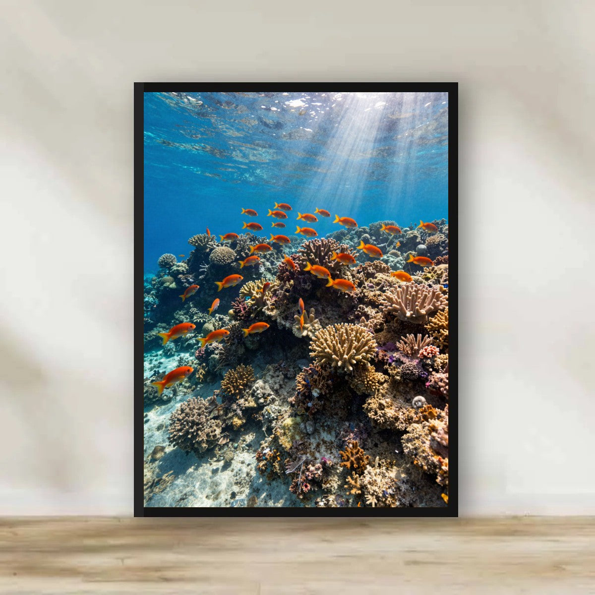 Red Sea Coral Reef Frame – Sinai & Red Sea photography wall art | برواز الشعاب المرجانية - البحر الأحمر