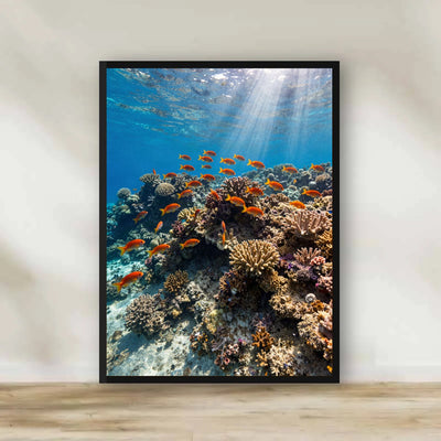 Red Sea Coral Reef Frame – Sinai & Red Sea photography wall art | برواز الشعاب المرجانية - البحر الأحمر