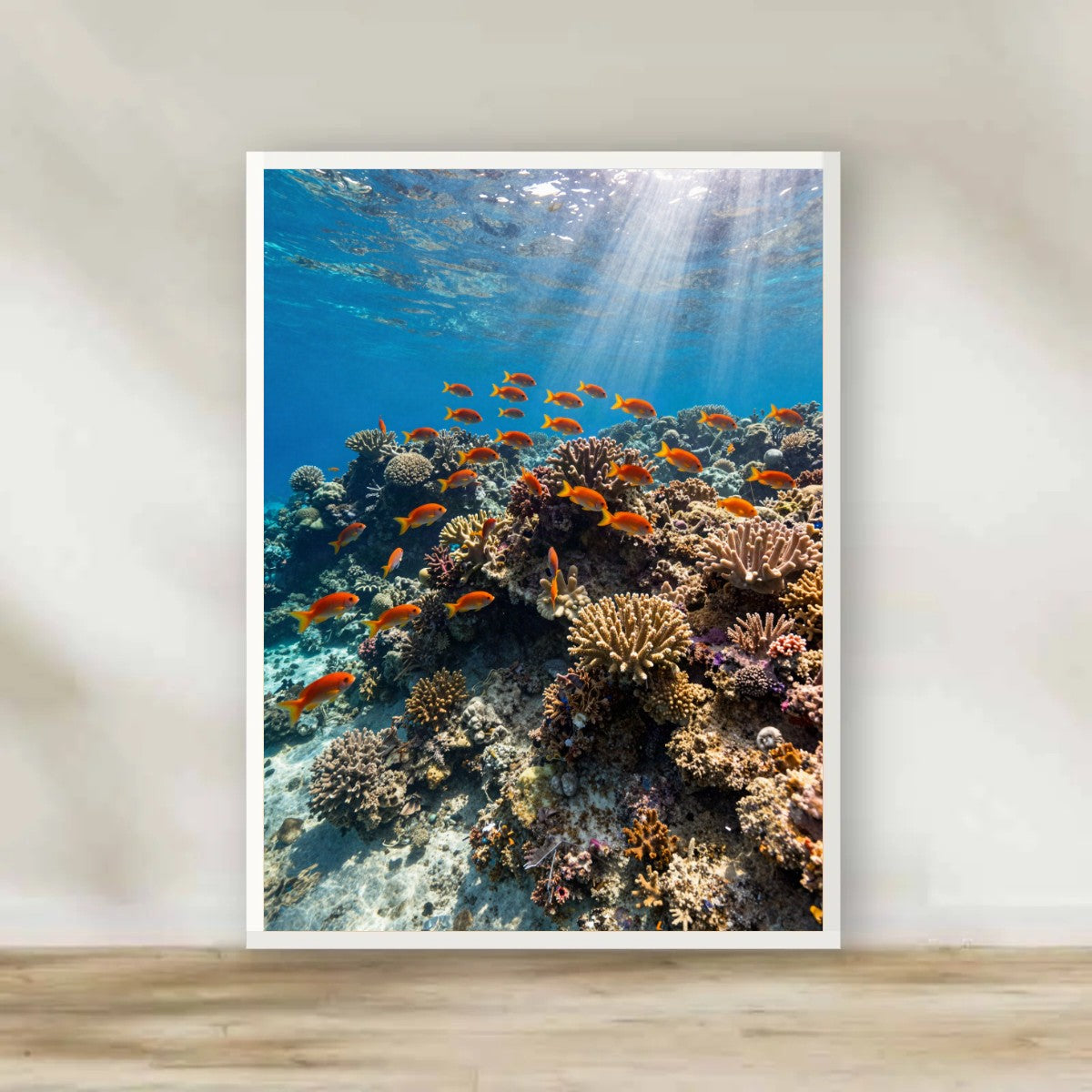 Red Sea Coral Reef White Frame – Sinai & Red Sea photography wall art | برواز أبيض الشعاب المرجانية - البحر الأحمر