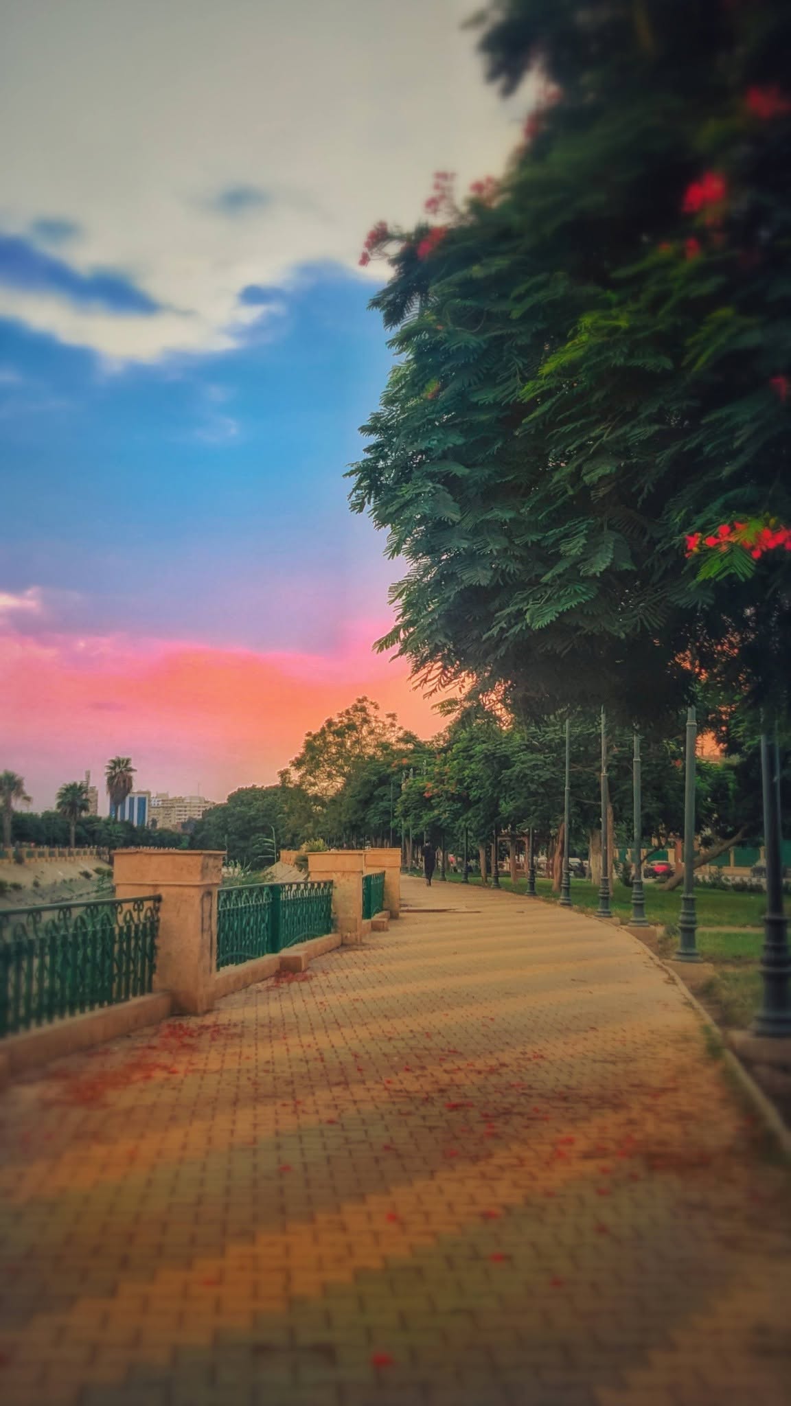 Golden Park Walk Frame – photography wall art, photo 2 | برواز ممشى الحديقة