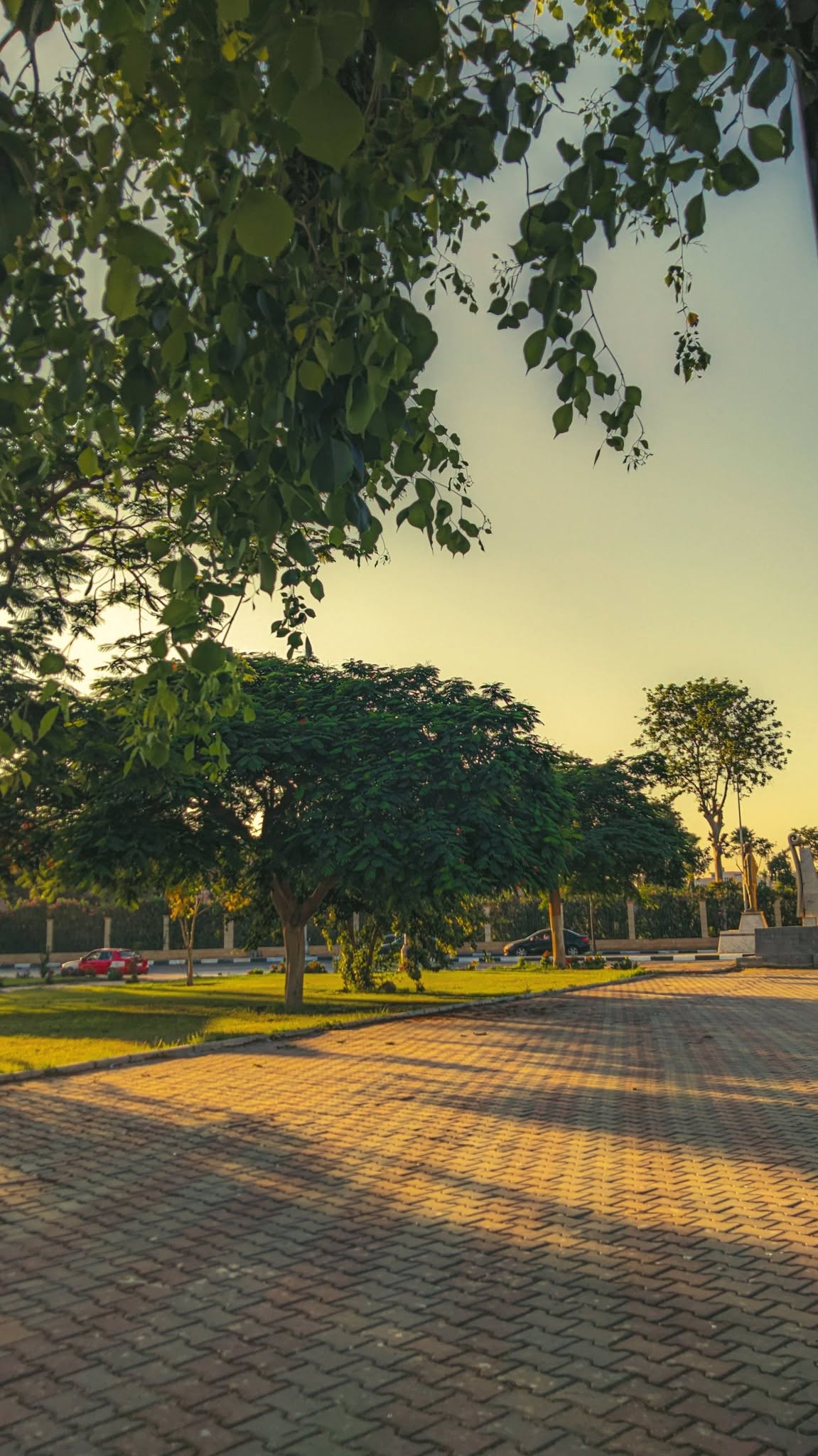 Golden Park Walk Frame – photography wall art, photo 4 | برواز ممشى الحديقة