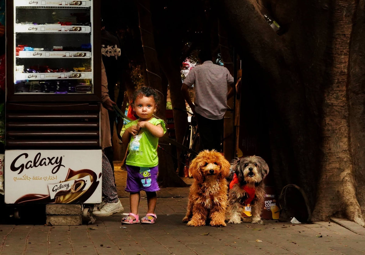 Zamalek Streets Frame – photography wall art, photo 4 | برواز شوارع الزمالك