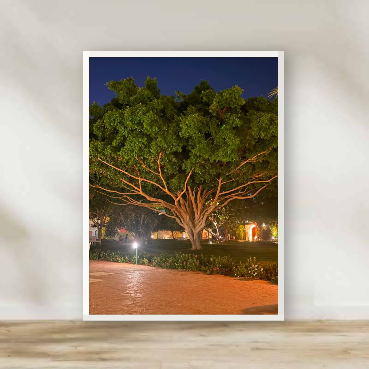 Hurghada Night Tree White Frame – photography wall art | برواز أبيض شجرة الغردقة ليلًا