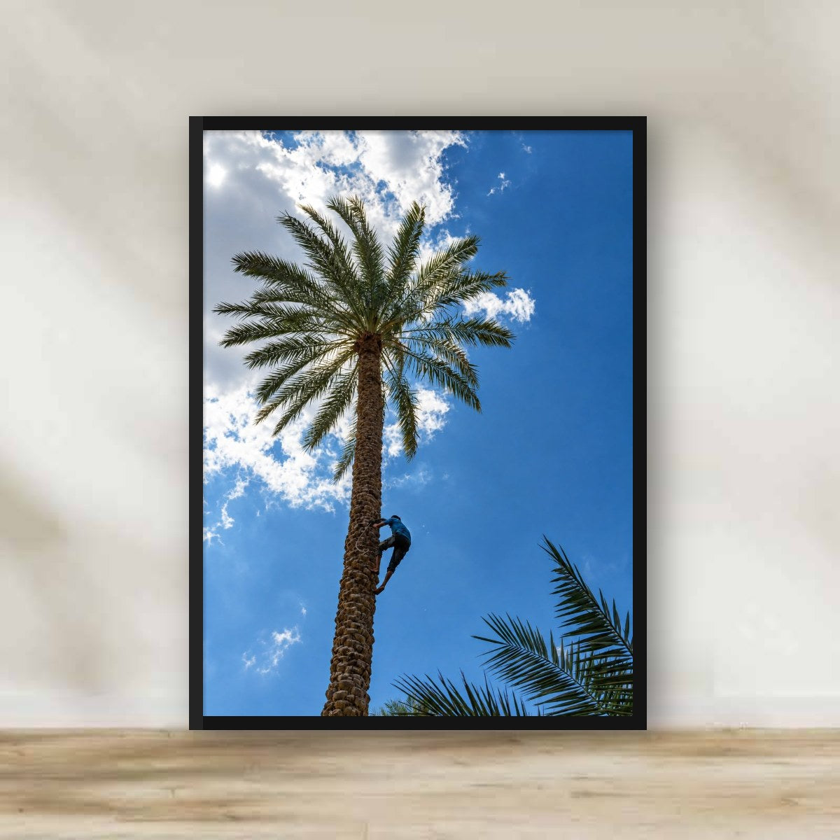 Palm Climber Frame – photography wall art | برواز يا طالع النخلة